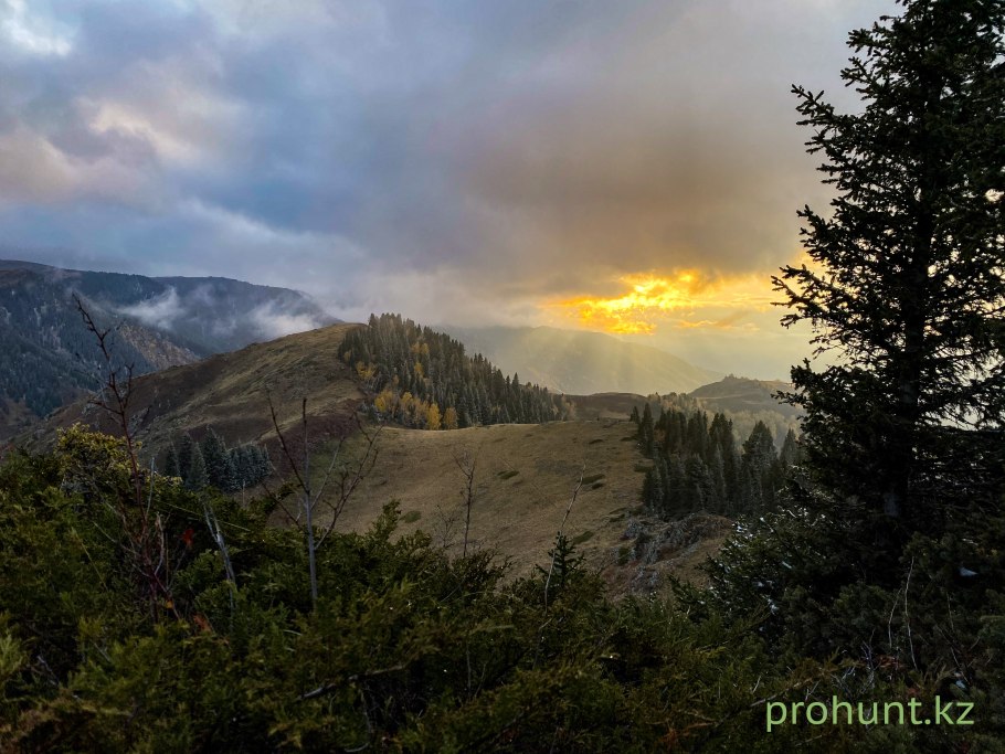 Катон карагай национальный парк