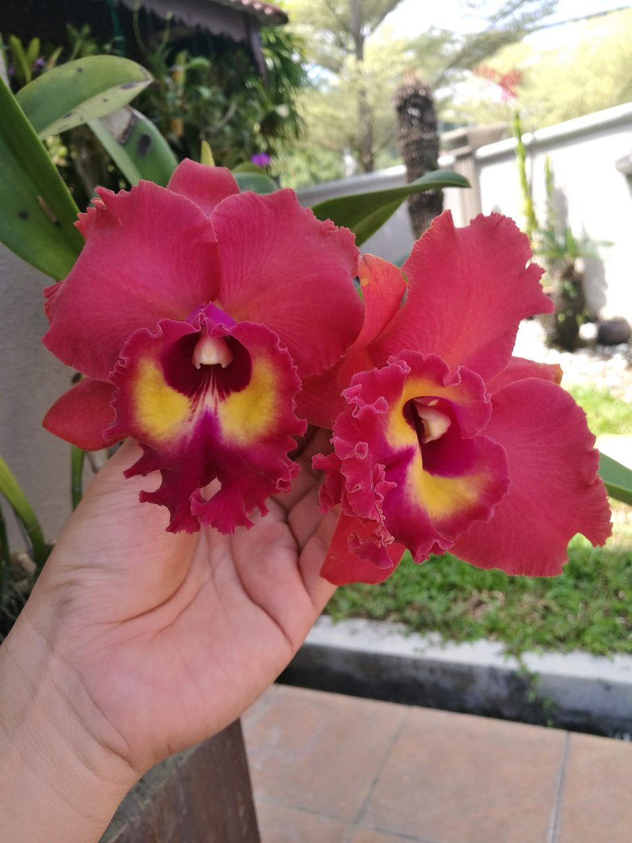 Kenzo orhideya Print Vintage