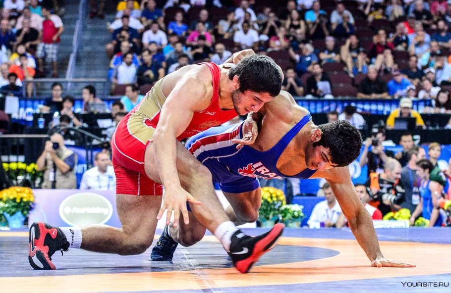 Шамиль шарипов вольная борьба
