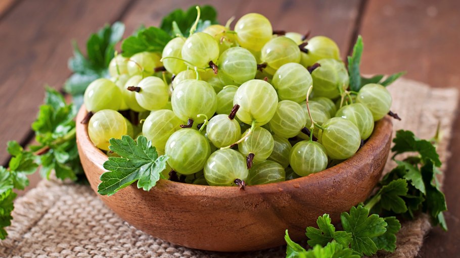 Крыжовник пушкинский