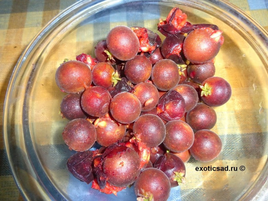 Крыжовник ягоды