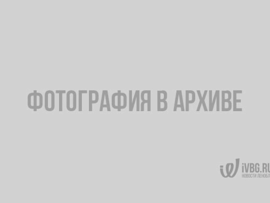 Дворец в санкт петербурге