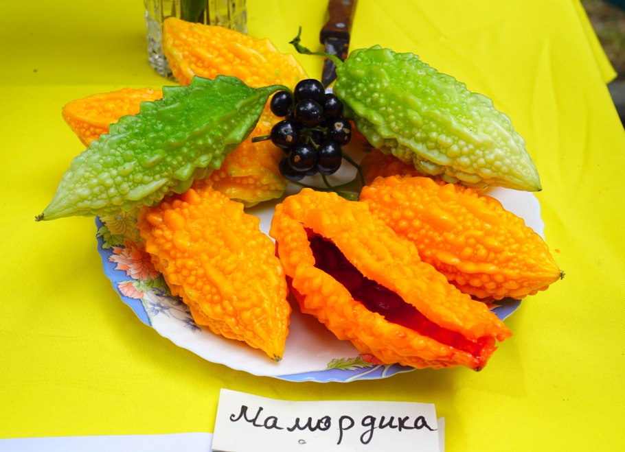 Момордика Найя