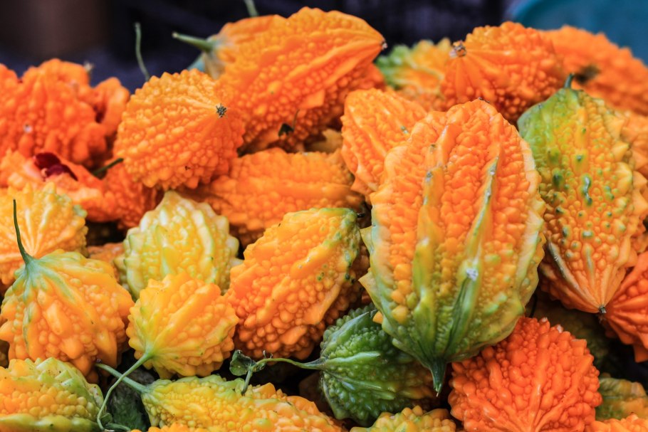 Горькая тыква момордика