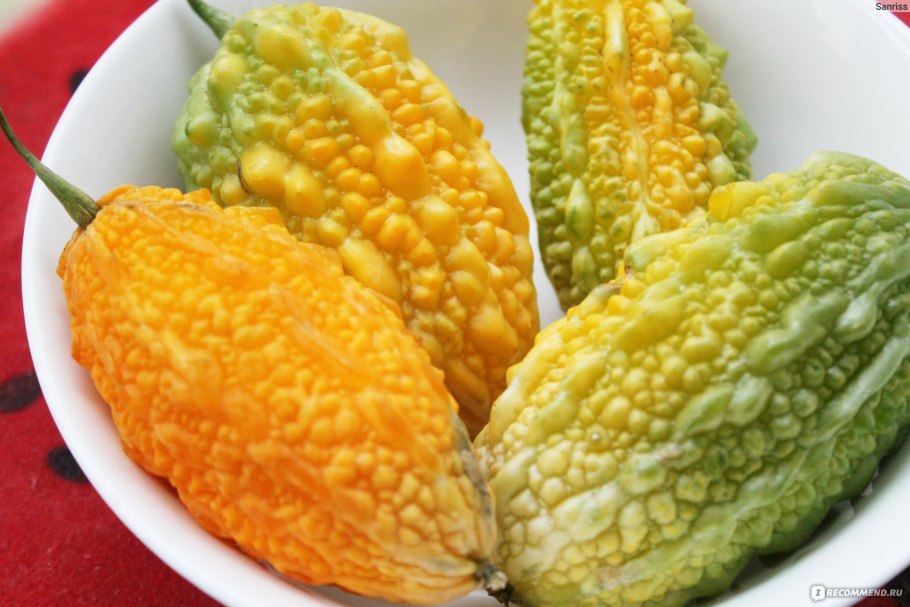 Момордика кохинхинская