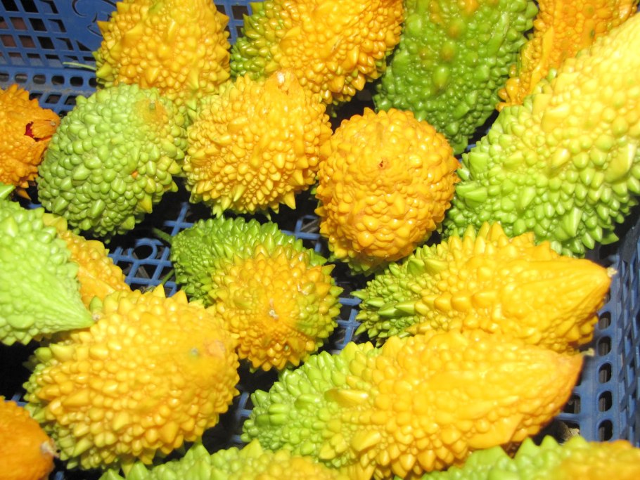 Индийский огурец момордика