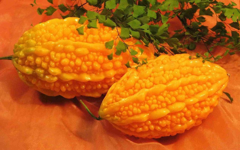 Экзотический фрукт момордика