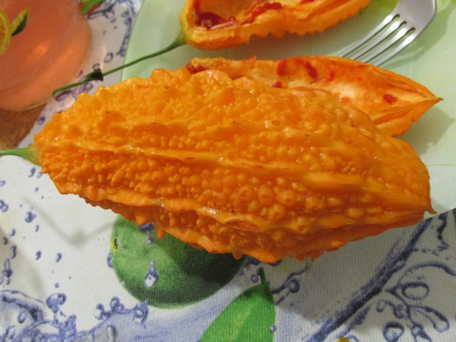 Момордика семена