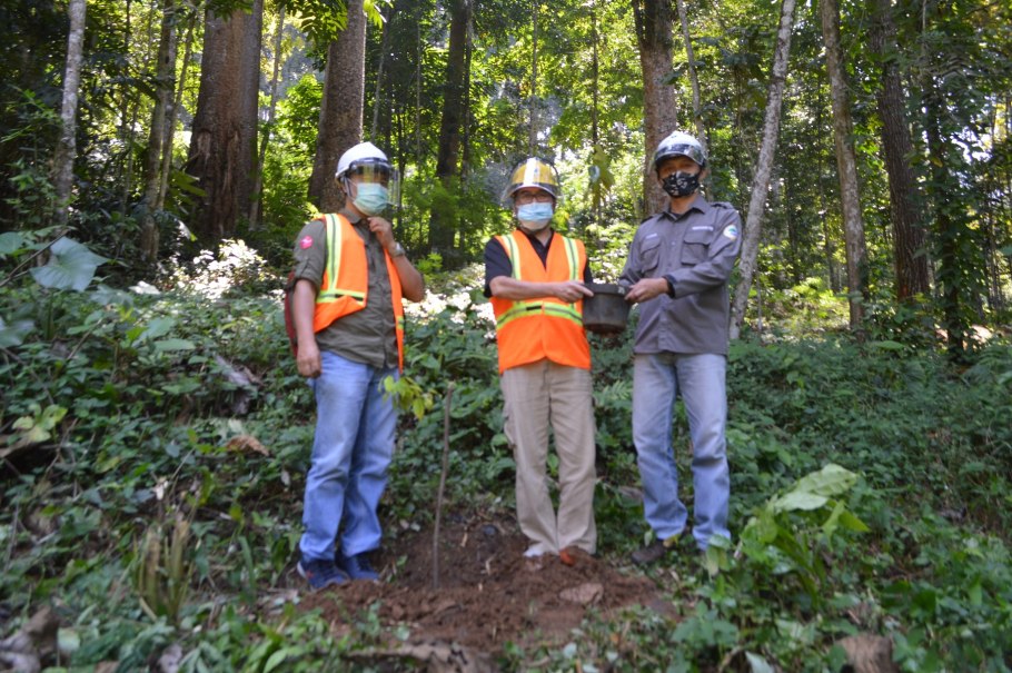 Порошок макко