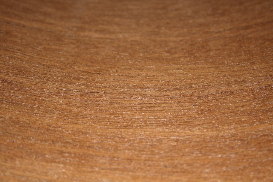 Вечнозеленый дуб в Японии