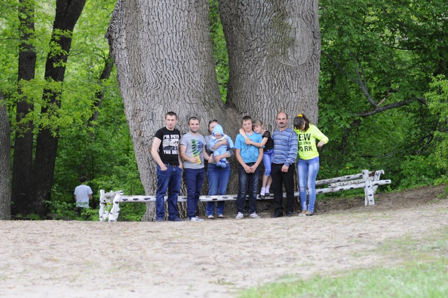 Дуб пугачёва