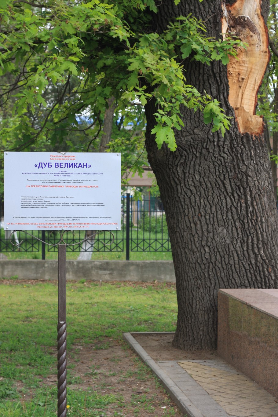 Каменнобродский монастырь дубы