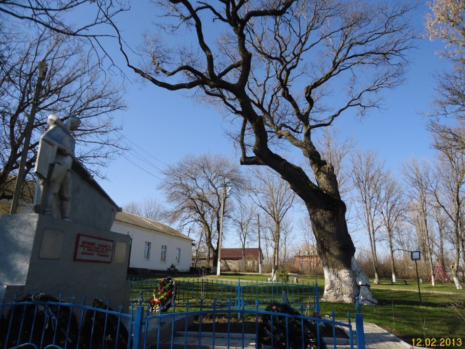 Каменно-Бродский монастырь дубы