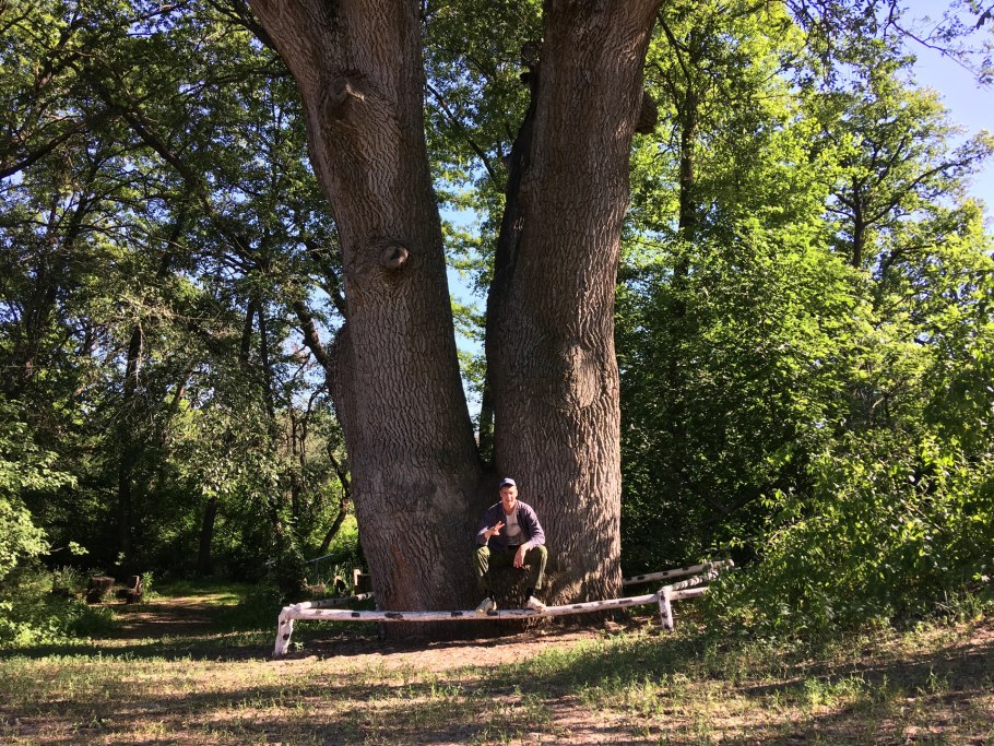 Дуб великан Адыгея