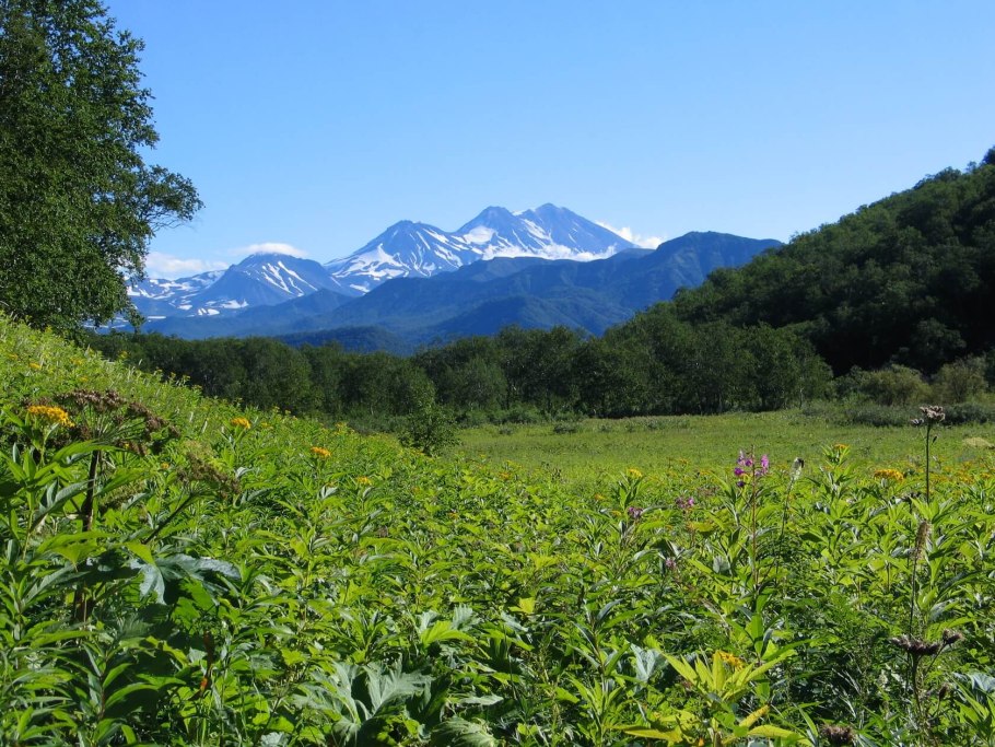 Природный парк Налычево растительный мир