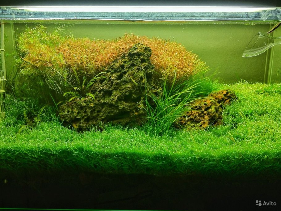 Декор для аквариума риф