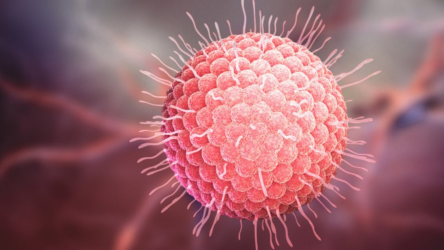 Яблоко Макросъёмка