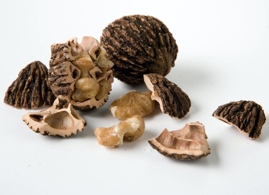 Грецкий черный орех