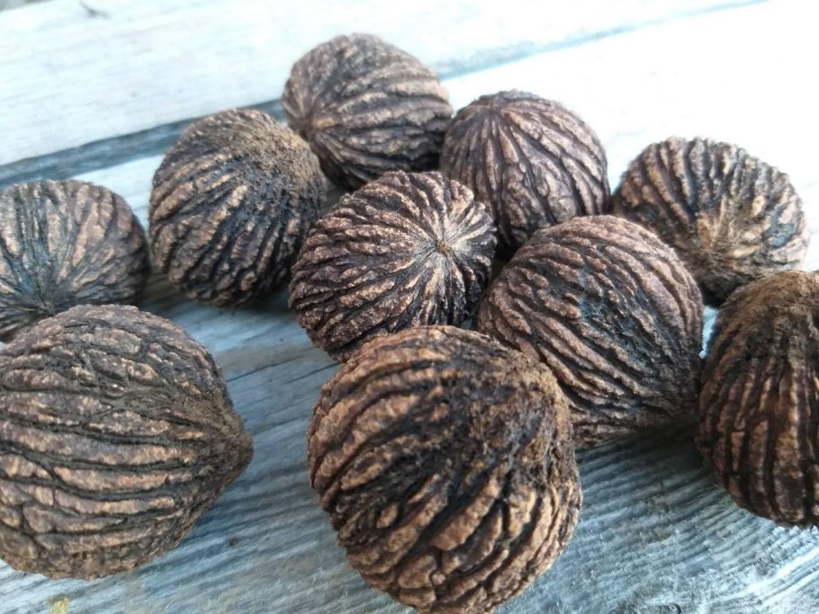 Черный орех плоды