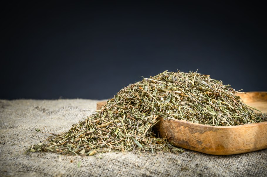 Чабрец медонос