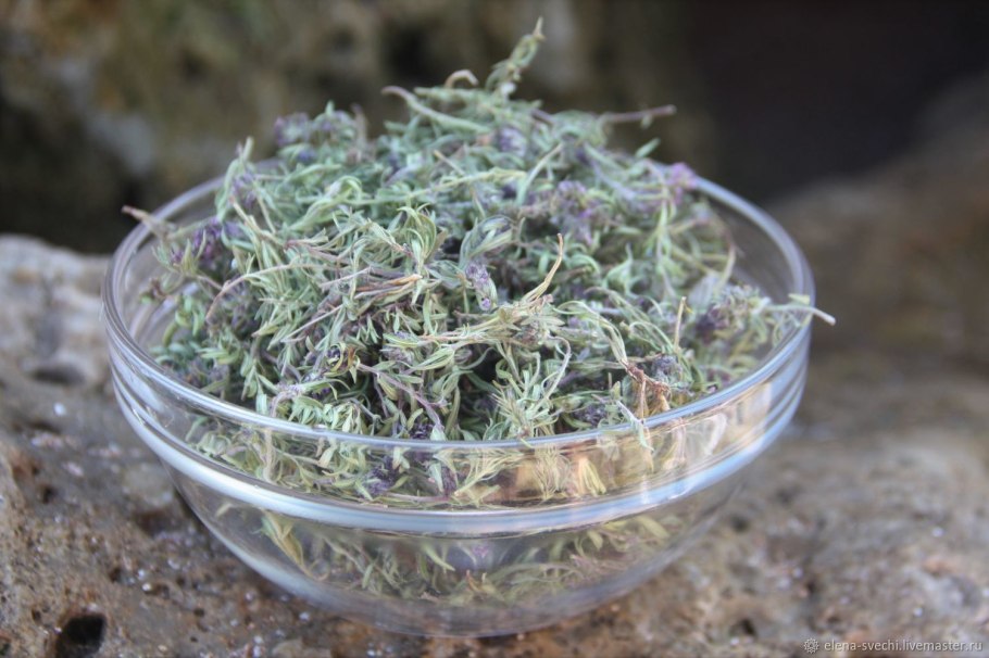 Чабрец горный