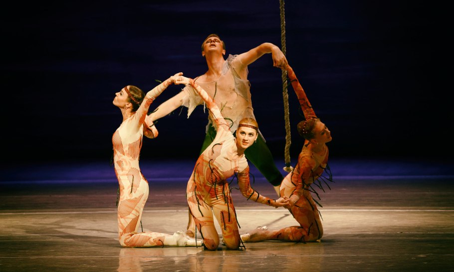 Чайно-гибридная (Rosa peer Gynt) c2/c3