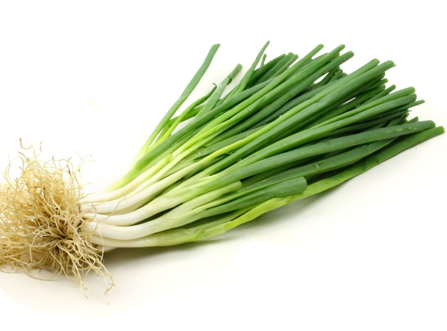 Зеленый лук для детей