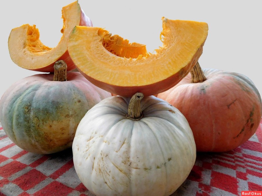 Марокканская мускатная тыква