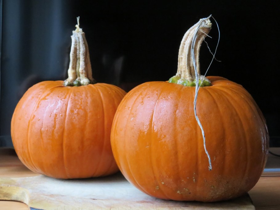 Японская тыква Кабоча