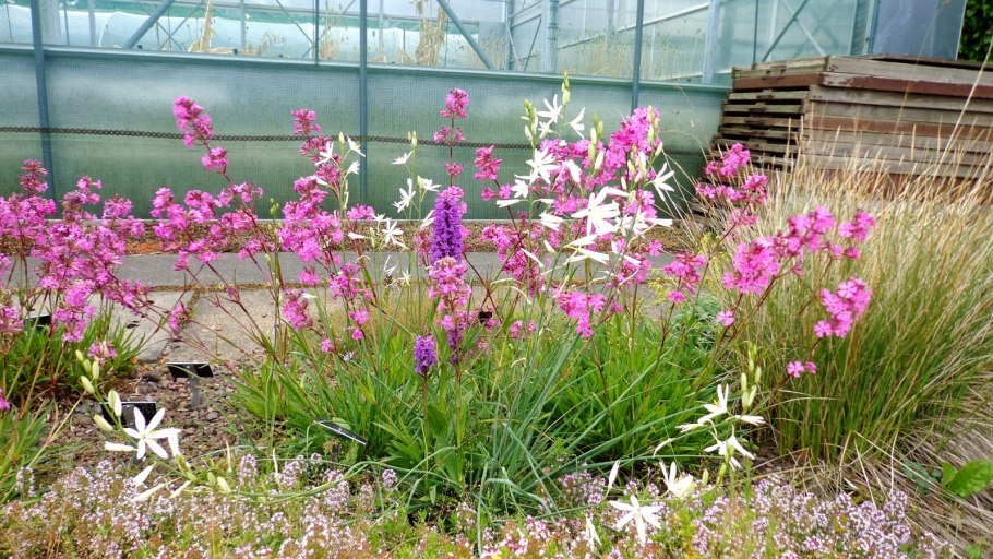 Венечник условия