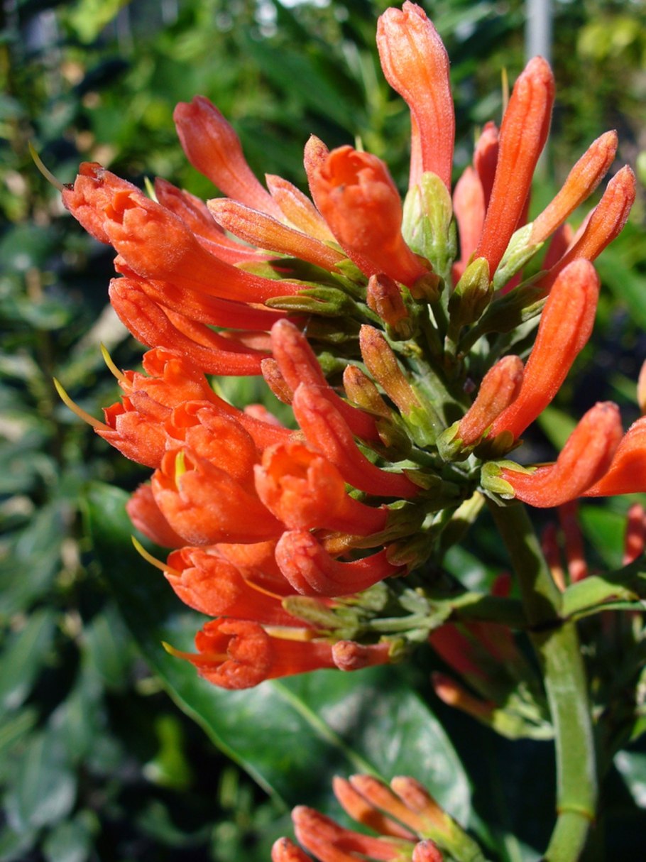 Профессиональные конфликты