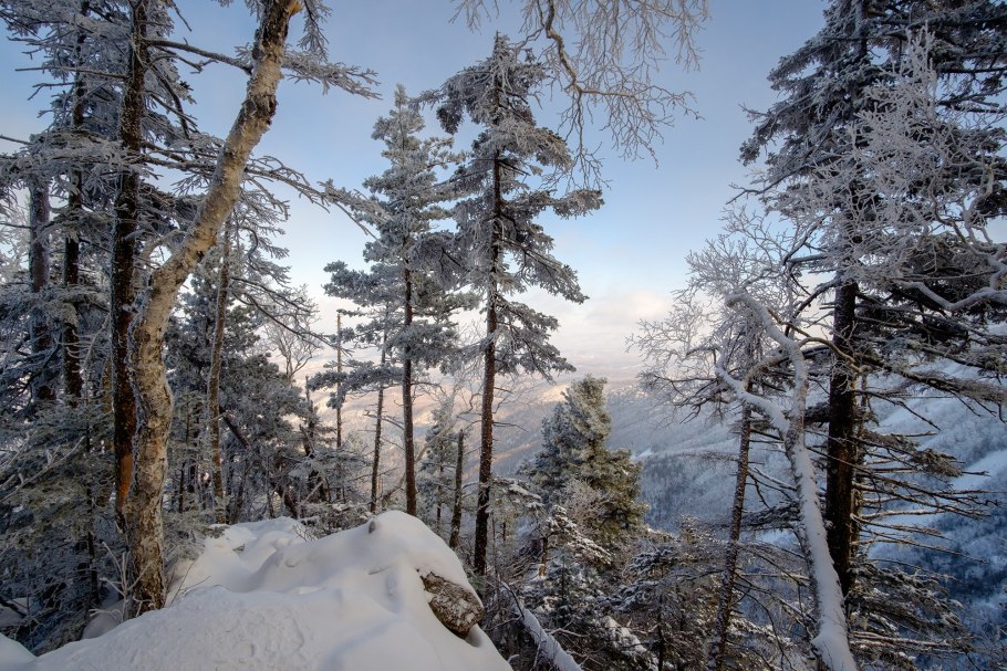 Климат тайги зимой