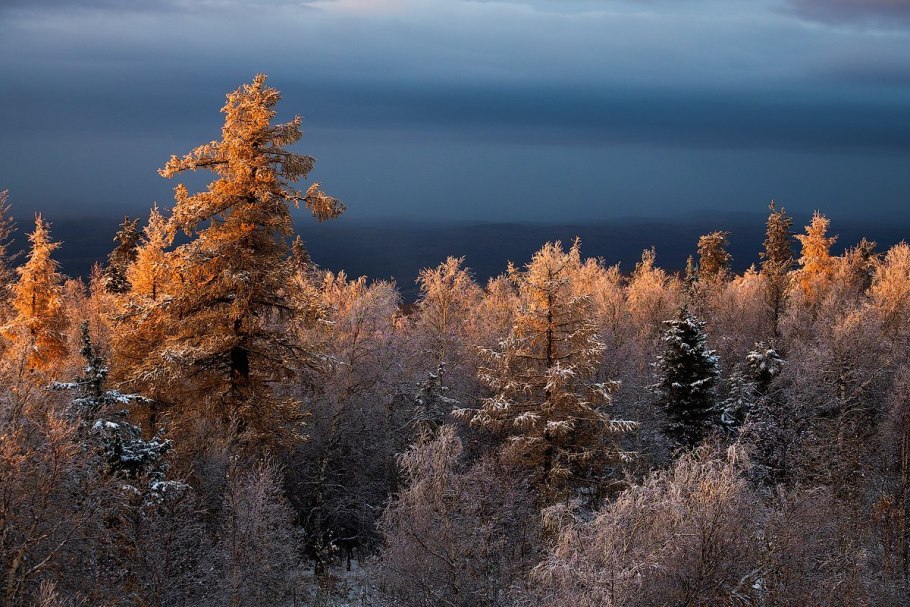 Климат Северной тайги в России