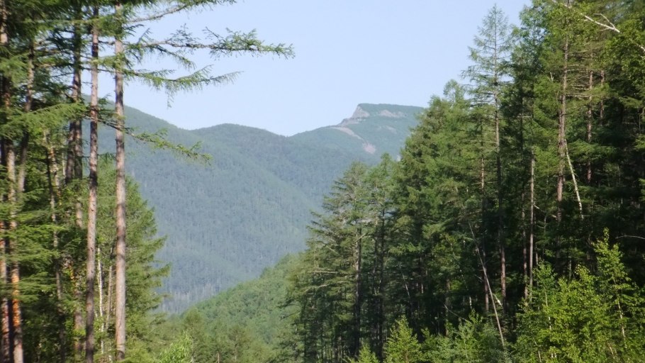 Лесотундра Восточная Сибирь