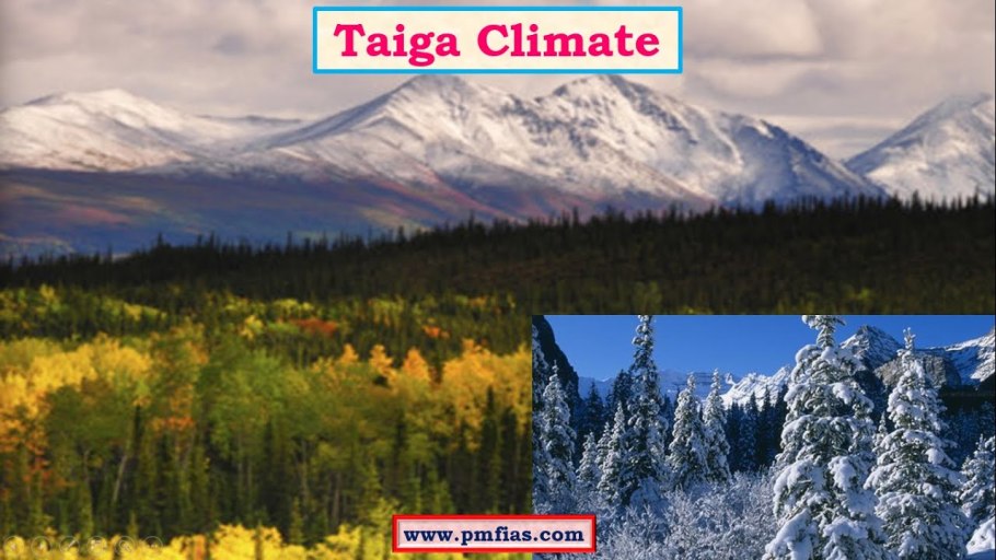 Климат тайги