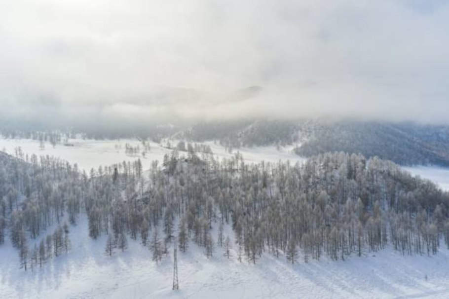 Климат сибирской тайги