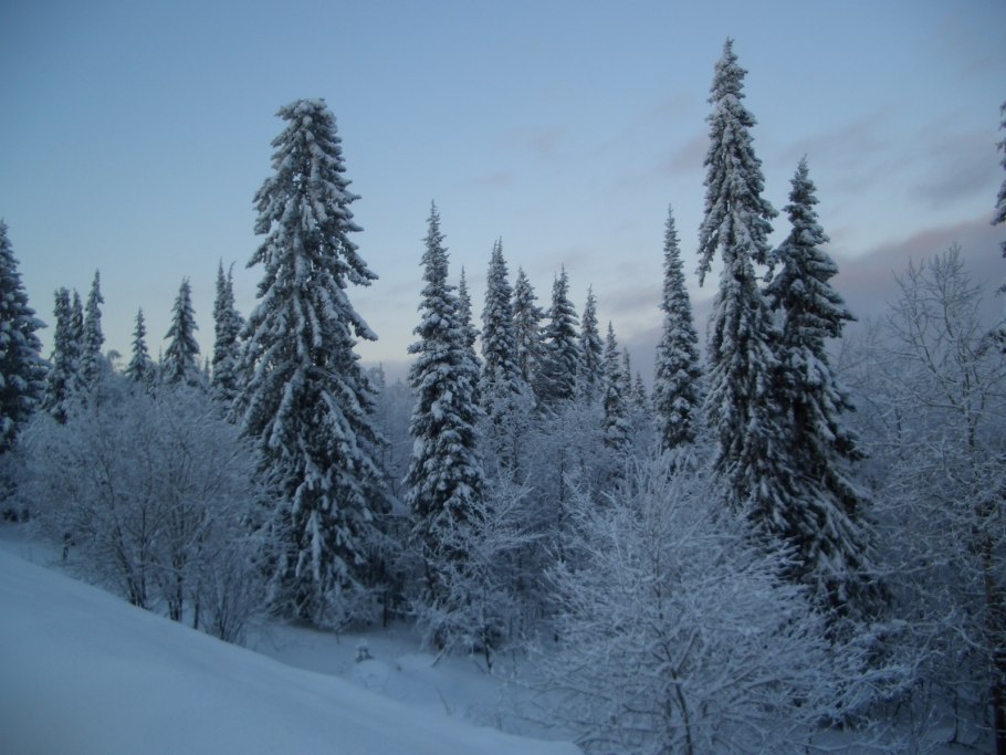 Зима в России