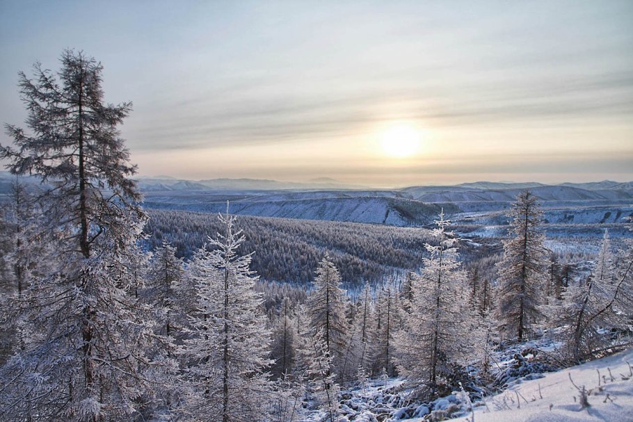 Климат тайги климат тайги