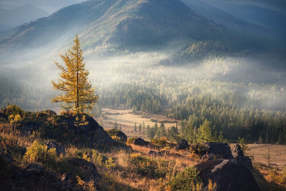 Хребет Ялангас