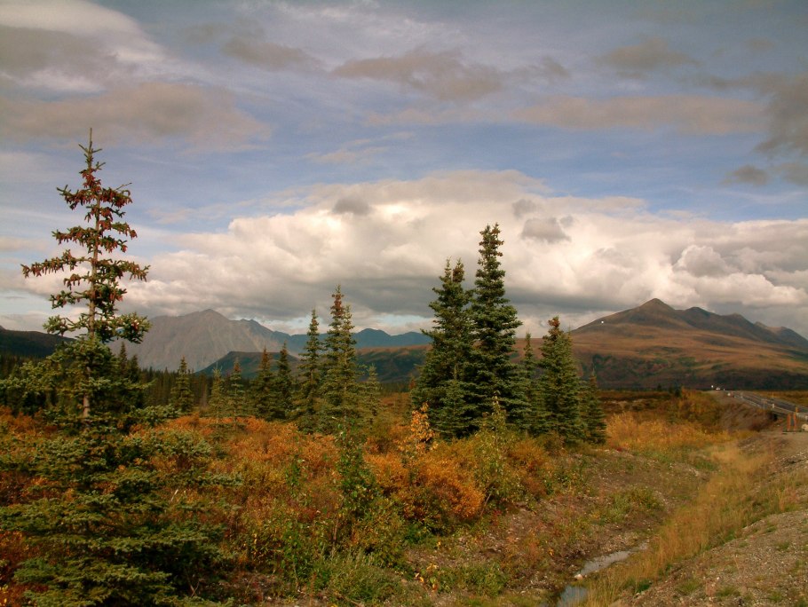 Denali national park and preserve