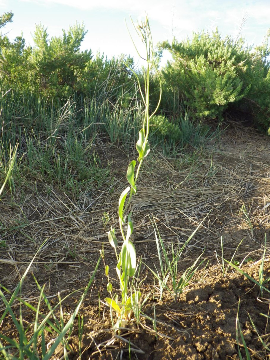 East Nights косметика