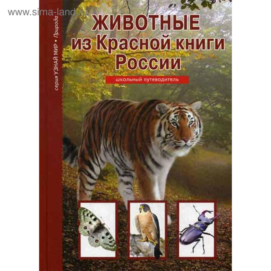 Клён канадский краснолистный