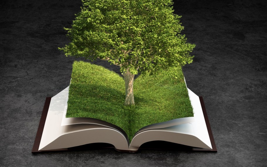 Дерево с книгами