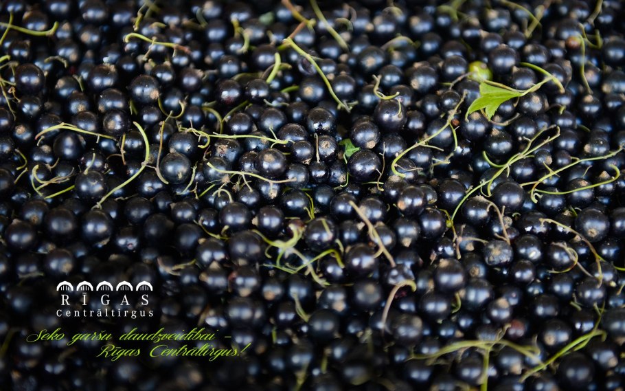 Черная смородина фон