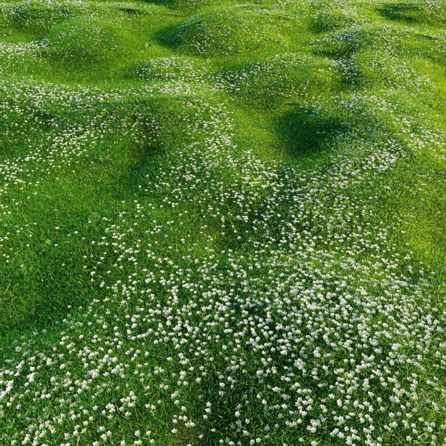 Сагина(Мшанка) Green Moss