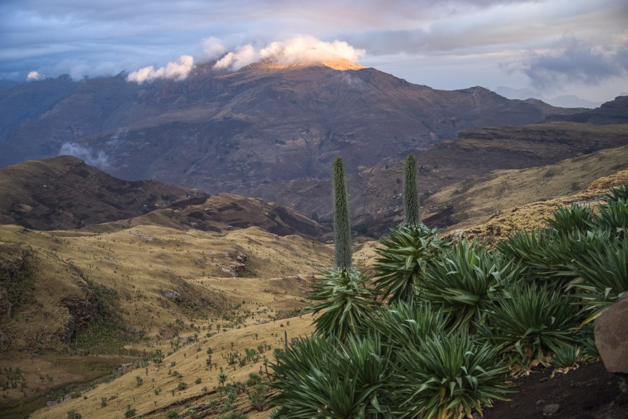 Лос невадос колумбия