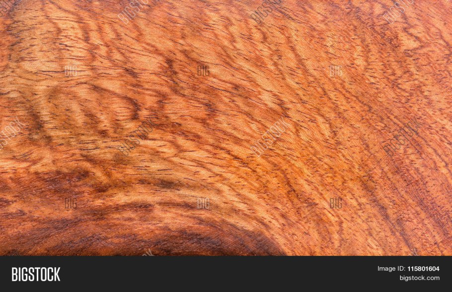 Afzelia africana Бобы