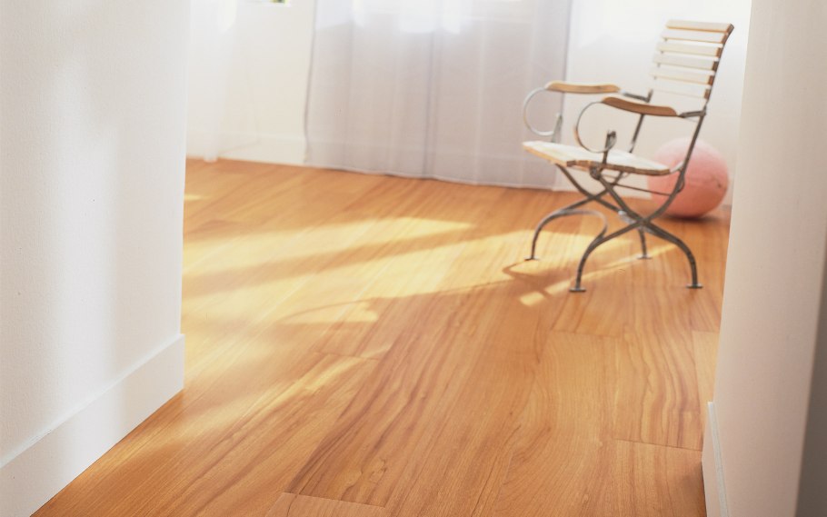 Доуссия в интерьере