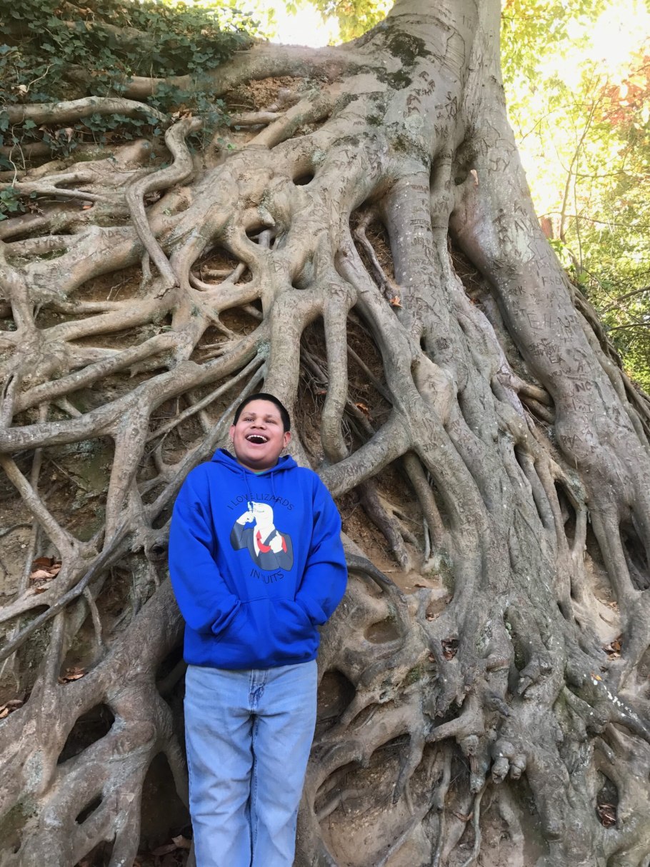 Охна мелкозубчатая