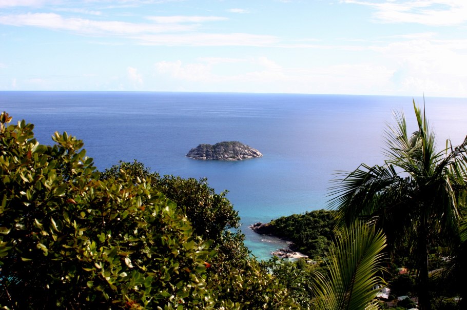 Плоды репейника